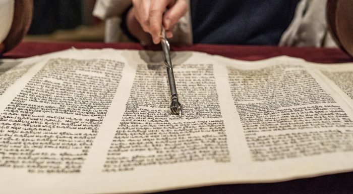 reading the torah