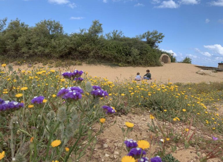 The Magnificent Resilience of Israeli Nature