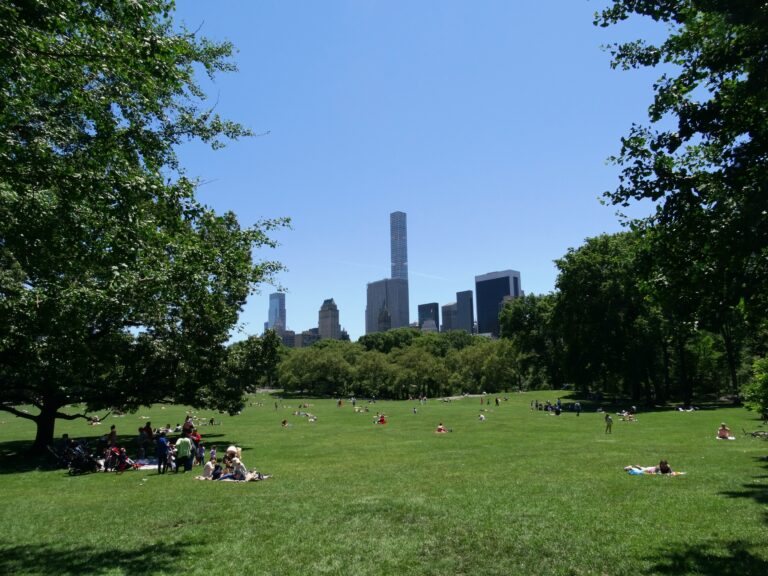 Aviv Shabbat Potluck Lunch in the Park